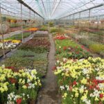 Kadın eliyle büyüyen üretim 23 Milyon TL’lik tasarruf getirdi – Birlik Haber Ajansı