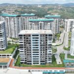 Altın kemerin sahibi Mehmet Çelebi oldu… – Birlik Haber Ajansı