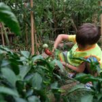 Kars Belediyesi Ağustos Ayı Meclis Toplantısı gerçekleştirildi – Birlik Haber Ajansı