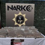 İstanbul Boğazı’nda kaybolan Rus yüzücü için arama çalışmaları sürüyor – Birlik Haber Ajansı