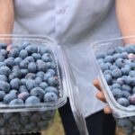 Kırıkkale’de okullara 350 TYP personeli alınacak