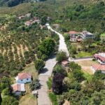 Kadırgalı, National Geographic ve Mark Wiens’le dünya sofrasında! – Birlik Haber Ajansı