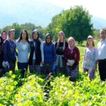 Sarıkamış Kayak Merkezi Suni Karlama Tesisi Protokolü imzalandı – Birlik Haber Ajansı