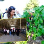 TZOB: Su kirliliği 75 ilde yaşamı tedhit ediyor – Birlik Haber Ajansı