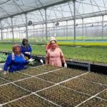 Fenerbahçe Şampiyonlar Ligi’nde play-off turuna yükseldi – Birlik Haber Ajansı