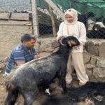 İstanbul’da 6 iş yerini kurşunlayan 13 kişi yakalandı – Birlik Haber Ajansı