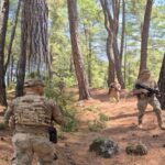 ÖTV ayarıyla panik alımlar ikinci eli canlandırdı – Birlik Haber Ajansı