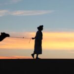 AK Parti 81 ilde “Yeşil Dönüşüm ve İklim Farkındalığı Programı” başlatıyor – Birlik Haber Ajansı