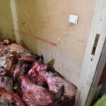 Eymir Gölü’nde havai fişek yangını: 2 kişi gözaltında – Birlik Haber Ajansı