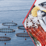 Çanakkale’de bu yaz orman yangınlarında 7 bin hektar alan zarar gördü – Birlik Haber Ajansı