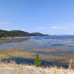 Temmuzda işsizlik oranı yüzde 8’e geriledi – Birlik Haber Ajansı