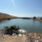 Türkiye’nin ayakkabı ihracatı 6 ayda 489,2 milyon doları buldu – Birlik Haber Ajansı