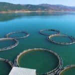 5G ihalesi 16 Ekim’de yapılacak: Mobil hız 10 kat artacak – Birlik Haber Ajansı