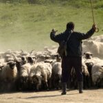 EGM’den Dezenformasyonla Mücadele: 103 Sosyal Medya Hesabı Tespit Edildi – Birlik Haber Ajansı