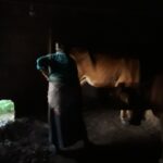 Sosyal Medyada Sahte İlan Yayınlayan 34 Şüpheli Yakalandı – Birlik Haber Ajansı