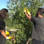 Arabesk Sanatçısı Güllü, hayatını kaybetti – Birlik Haber Ajansı