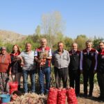 Kılıçlar Soğanında verim üreticiyi sevindirdi – Birlik Haber Ajansı