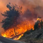 Burhanettin Duran: Türkiye, nükleer enerji ile geleceğin temellerini atıyor – Birlik Haber Ajansı