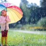 49 ilde mali suç örgütlerine darbe: 115 şüpheli gözaltında – Birlik Haber Ajansı