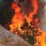 Rize’de şiddetli yağış Ayder Yaylası’nı felç etti: 1500 kişi mahsur kaldı – Birlik Haber Ajansı