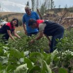 Altın fiyatları ne kadar oldu? – Birlik Haber Ajansı