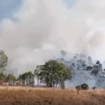 Eyyübiye’de Yaz Kursları Dolu Dolu Geçti – Birlik Haber Ajansı