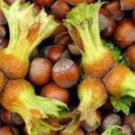 Manavgat’a 2,9 Milyar TL’lik altyapı yatırımı – Birlik Haber Ajansı