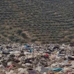 Trump yönetiminden yüksek mahkeme için ek güvenlik fon talebi – Birlik Haber Ajansı