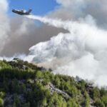 Şehit ailesini dolandıran 11 kişi operasyonla yakalandı – Birlik Haber Ajansı