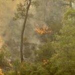 İsrail’in Gazze’ye son 24 saatteki saldırılarında 75 Filistinli hayatını kaybetti – Birlik Haber Ajansı