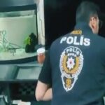 Teknofest’e Rekor Katılım – Birlik Haber Ajansı