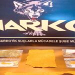 Fındık üreticisine kritik uyarı; İhtiyacınız yoksa satmayın – Birlik Haber Ajansı