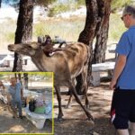 Eylül ayına ilişkin yaşlı aylığı ve engelli aylıkları hesaplara yatırılmaya başlandı – Birlik Haber Ajansı
