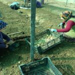 Sivas Gazeteciler Cemiyeti Başkanı Hakan Sezerer’den iddialara yanıt – Birlik Haber Ajansı