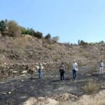 Alanya’daki yangınlar söndürüldü, hasar tespit çalışmaları başladı – Birlik Haber Ajansı