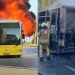 Üsküdar’da esnaf bir günlük gelirini Gazze’ye bağışlıyor – Birlik Haber Ajansı