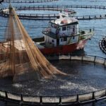 Cumhurbaşkanı Erdoğan’dan Sivas Kongresi’nin 106. yıl dönümü mesajı – Birlik Haber Ajansı