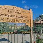 65 kaymakam adayı alınacak: Başvurular 23 Ekim’de başlıyor – Birlik Haber Ajansı