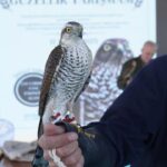 Süre Uzatılmayacak Son 21 Gün