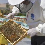 ÖSYM hafta sonu dört sınav düzenleyecek – Birlik Haber Ajansı