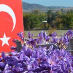 Kars’ta Eğitime Destek Platformu Genişletilmiş İl Toplantısı gerçekleştirildi – Birlik Haber Ajansı