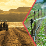 Bakan Uraloğlu, İyidere Lojistik Limanı’nı yerinde inceledi – Birlik Haber Ajansı