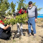 Bakan Şimşek: 24 imalat sanayi sektörünün 18’inde büyüme var – Birlik Haber Ajansı