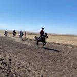 “Avcılık kanunla düzenlenir, keyfi yasak olamaz” – Birlik Haber Ajansı