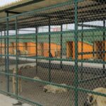 Antalya’da o iddialar yalanlandı: “‘Otel yapılacak’ dedikodularına alıştık” – Birlik Haber Ajansı