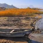 Finike’de 2. Yazır Üzümü Şenliği gerçekleştirildi – Birlik Haber Ajansı