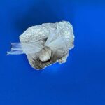 Can Holding soruşturmasında 35 şüpheli hakkında gözaltı kararı – Birlik Haber Ajansı