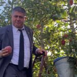 Mardin’de 1500 yıllık mozaik gün yüzüne çıktı – Birlik Haber Ajansı