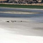 Artvin Valisi Ergün: Muhtarlarımız devletimizin vatandaşımıza ulaşan kılcal damarlarıdır – Birlik Haber Ajansı