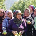 Altın fiyatları uçtu, Antalya kuyumcu çarşısı kilitlendi – Birlik Haber Ajansı